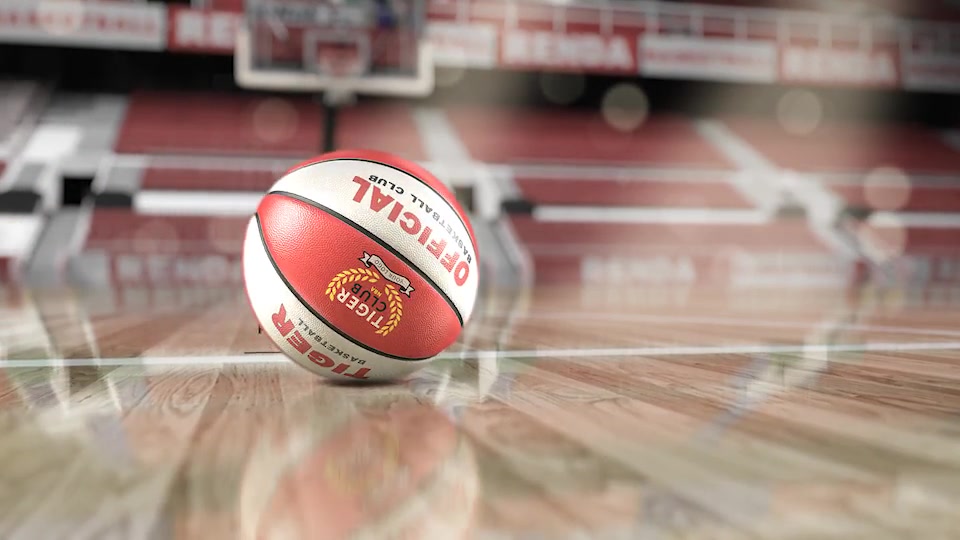 Basketball Logo Reveals Mockup Videohive 24765378 After Effects Image 4