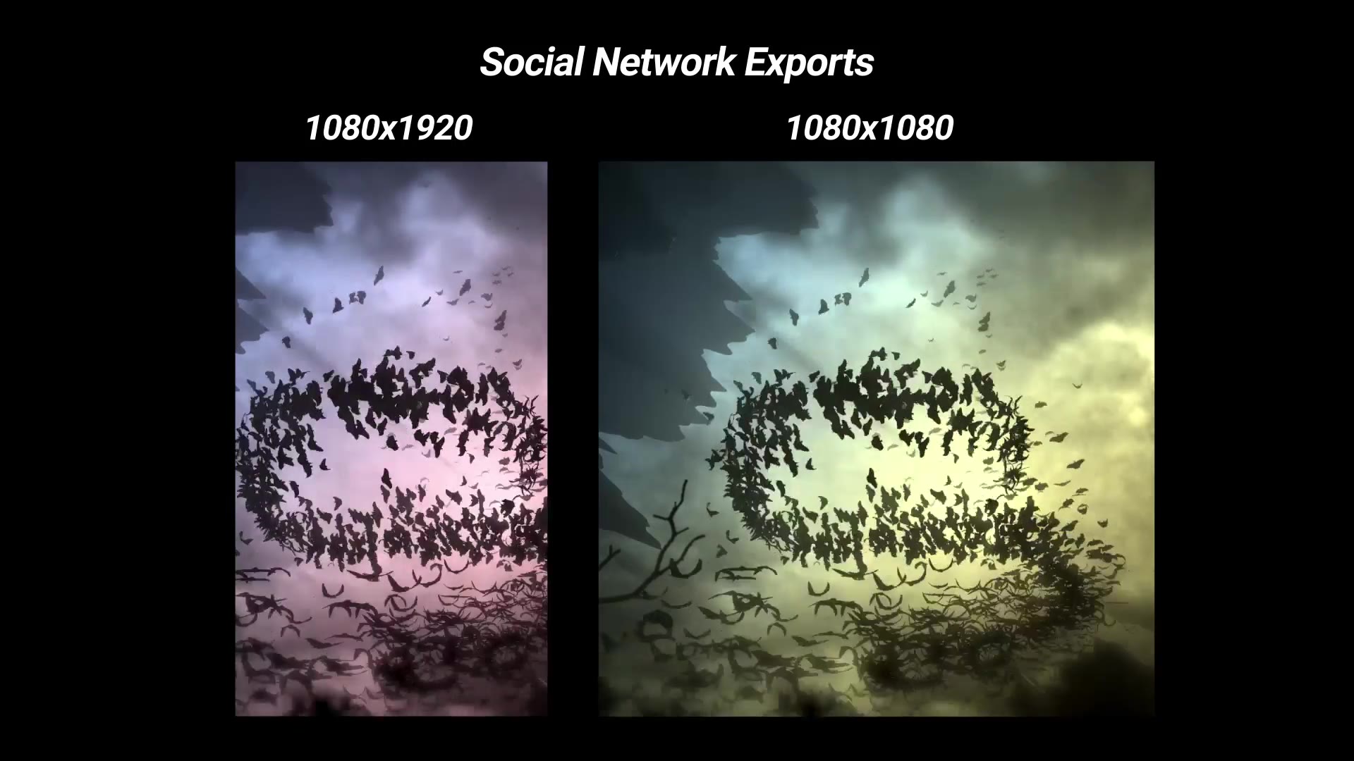 Bats Storm Halloween Logo Reveal Videohive 34264368 After Effects Image 8