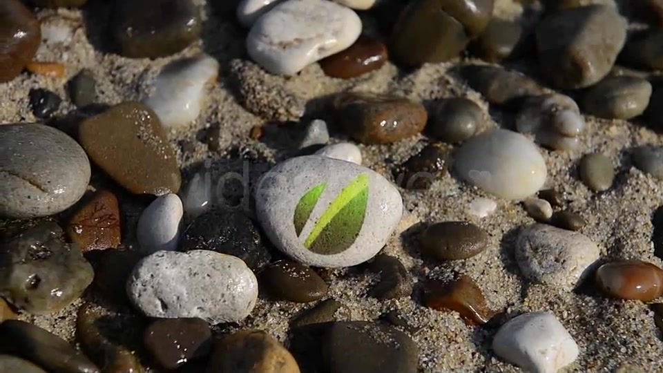 Beach Series Logo Reveal Videohive 3353351 After Effects Image 8