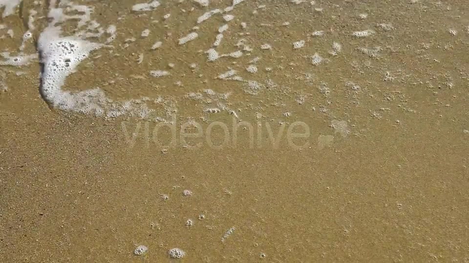 Beach  Videohive 6462659 Stock Footage Image 6