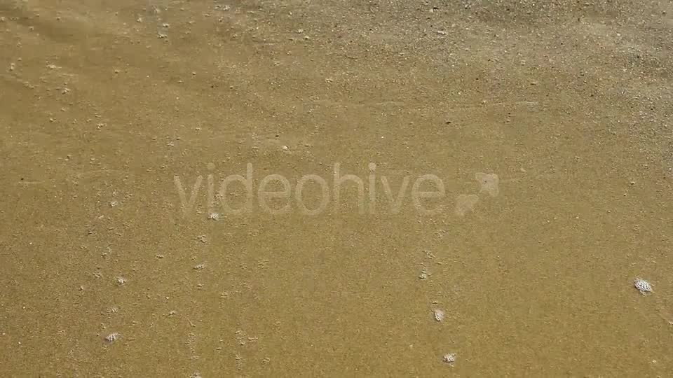 Beach  Videohive 6462659 Stock Footage Image 8