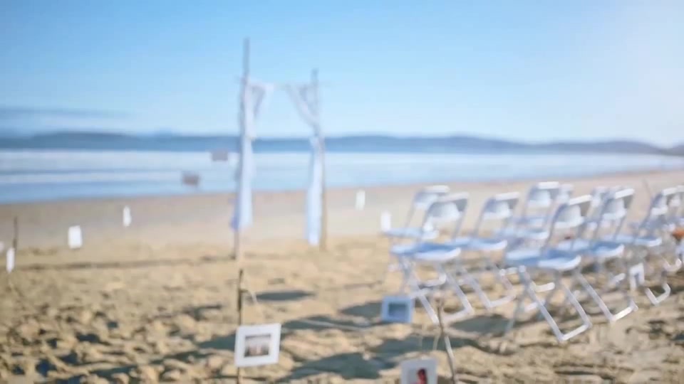 Beach Wedding Photo Gallery - Download Videohive 13390298