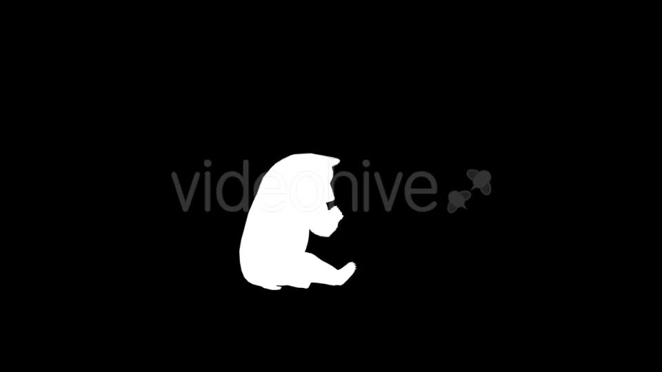 Bear Silhouettes 9 Pack - Download Videohive 21219319