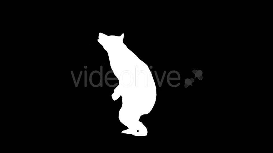 Bear Silhouettes 9 Pack - Download Videohive 21219319