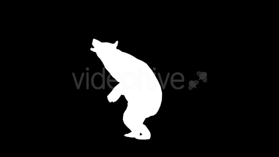 Bear Silhouettes 9 Pack - Download Videohive 21219319