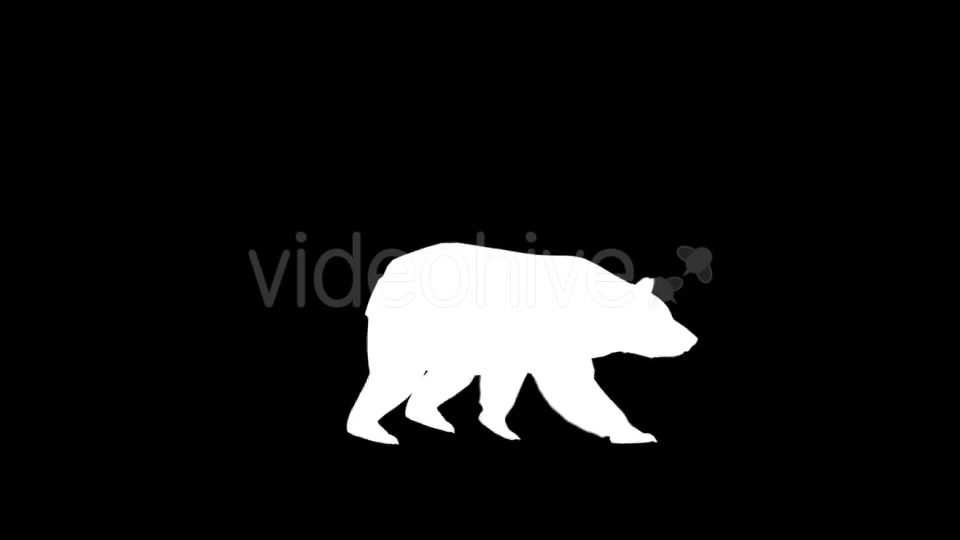 Bear Silhouettes 9 Pack - Download Videohive 21219319