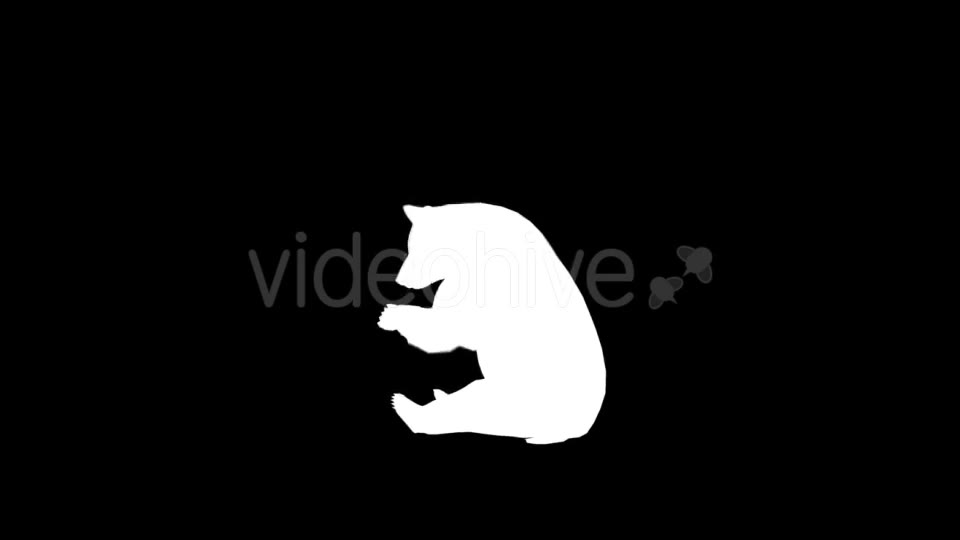 Bear Silhouettes 9 Pack - Download Videohive 21219319