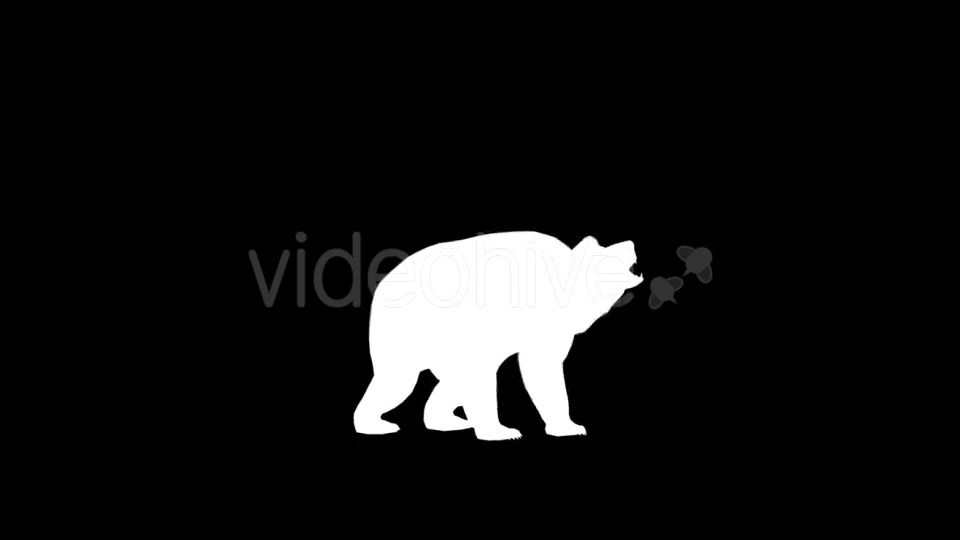 Bear Silhouettes 9 Pack - Download Videohive 21219319