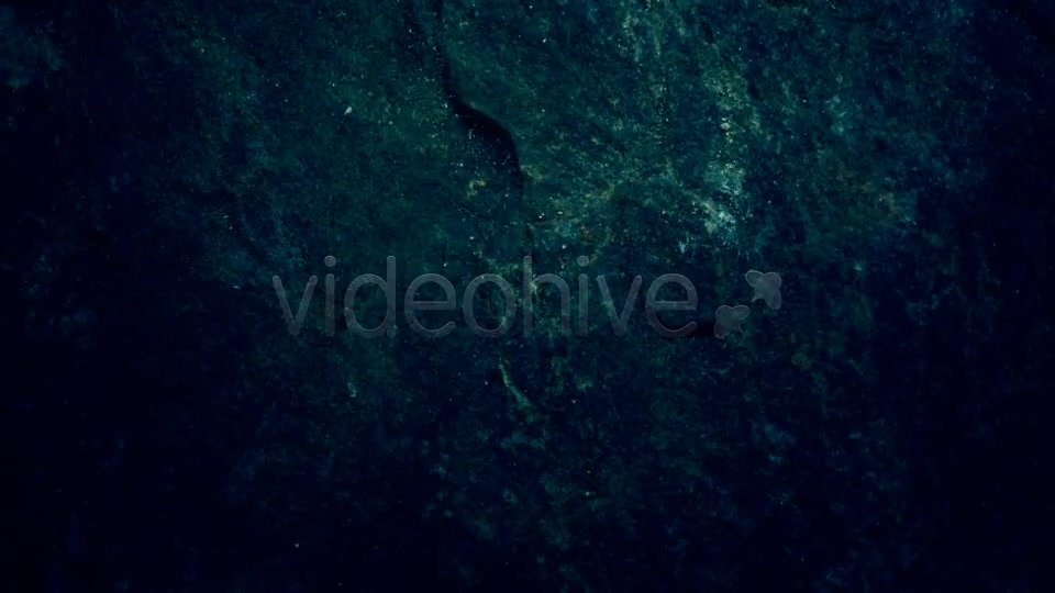 Beast Logo Reveal - Download Videohive 669060