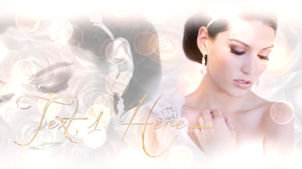 Beautiful Bride - Download Videohive 5482350