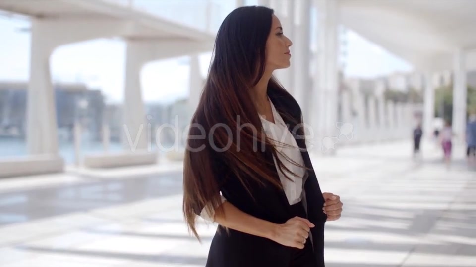 Beautiful Business Woman Standing And Looking  - Download Videohive 13498930