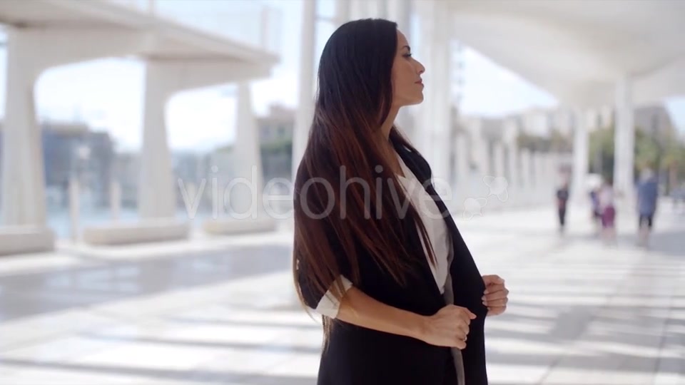 Beautiful Business Woman Standing And Looking  - Download Videohive 13498930