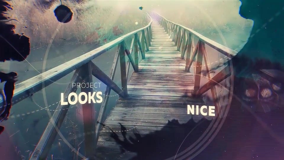 Beautiful Inks - Download Videohive 19584648