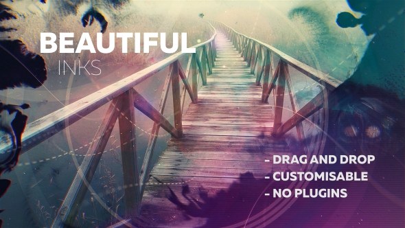 Beautiful Inks - Download Videohive 19584648