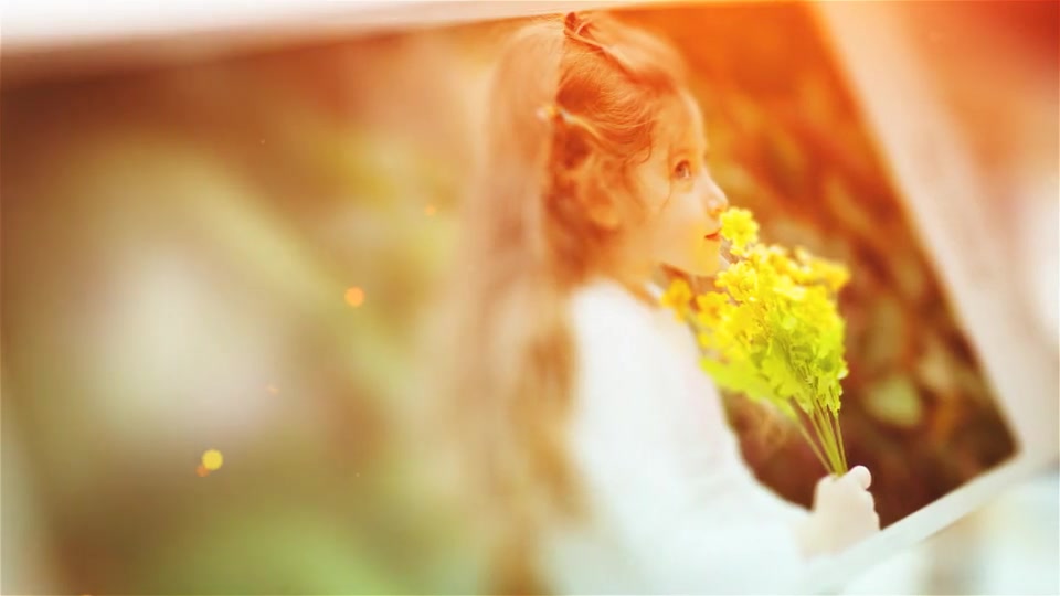 Beautiful Moments Videohive 17119401 After Effects Image 11