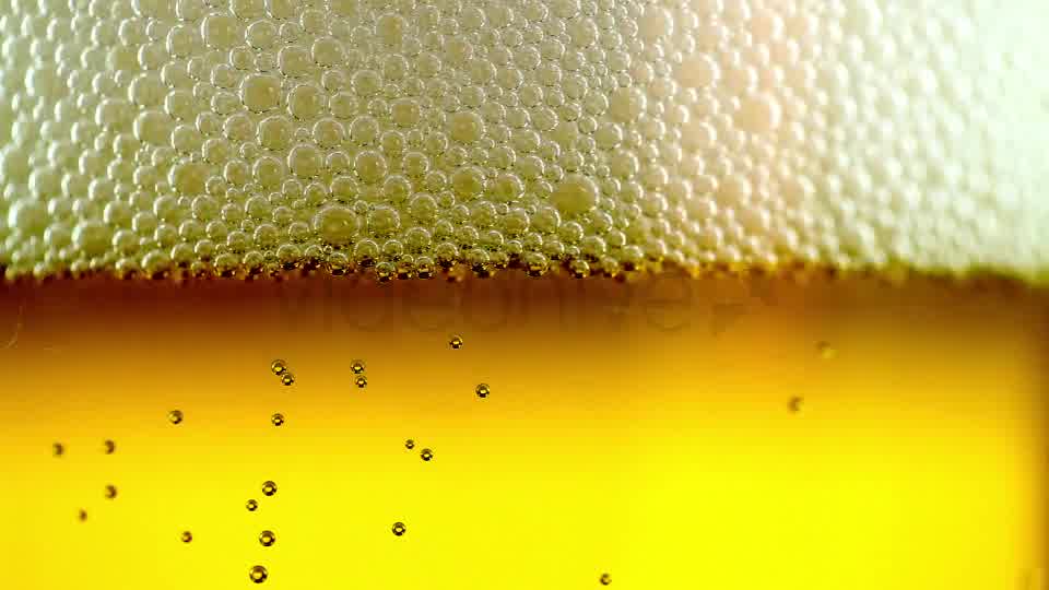 Beer Bubbles  Videohive 8173351 Stock Footage Image 10