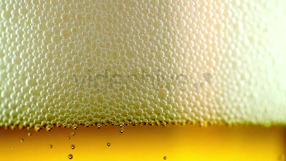 Beer Bubbles  Videohive 8173351 Stock Footage Image 6