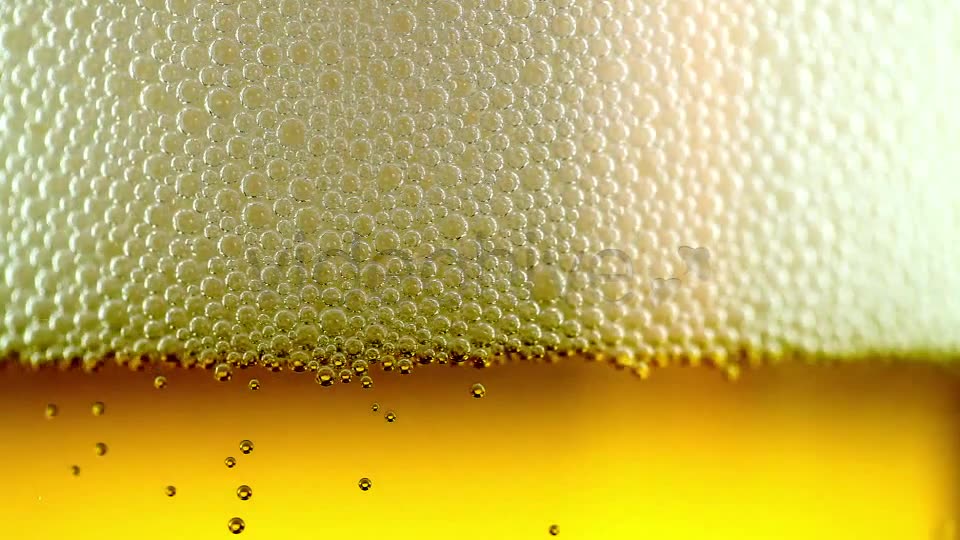 Beer Bubbles  Videohive 8173351 Stock Footage Image 7