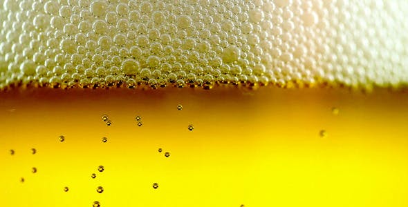 Beer Bubbles  - 8173351 Download Videohive