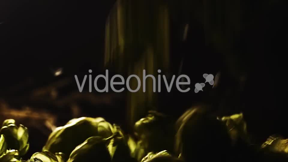 Beer - Download Videohive 13383860