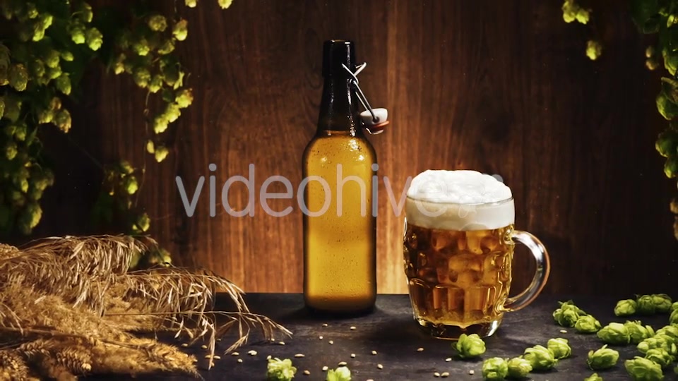 Beer - Download Videohive 13383860