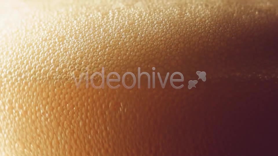 Beer  Videohive 8329934 Stock Footage Image 3