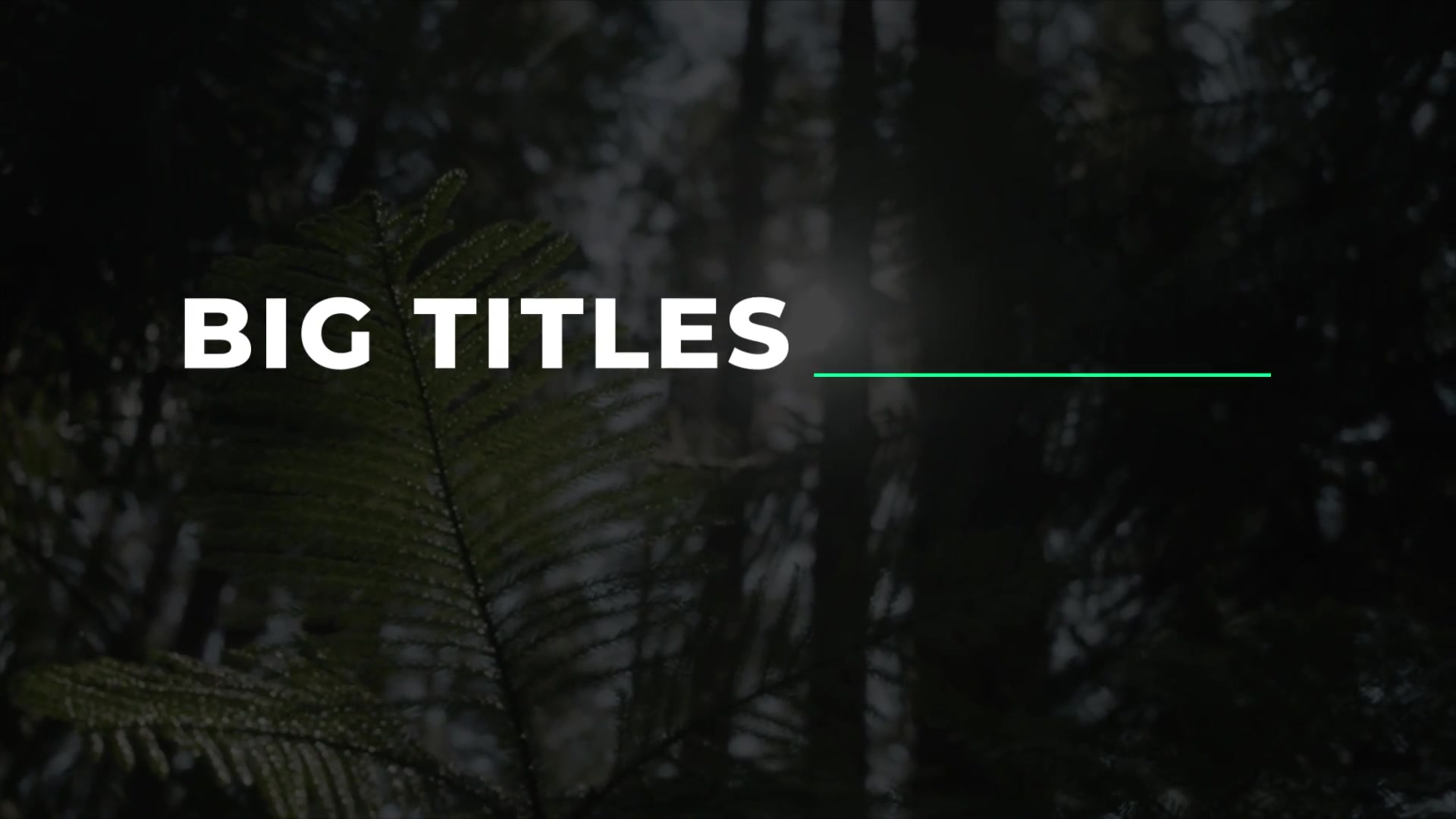 Big Titles | After Effects Videohive 37142735 After Effects Image 9