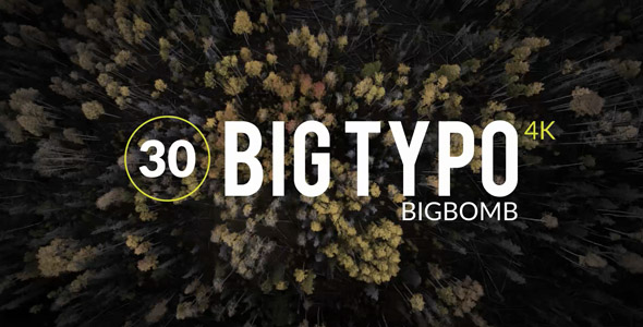Big Typo - Download Videohive 18531465