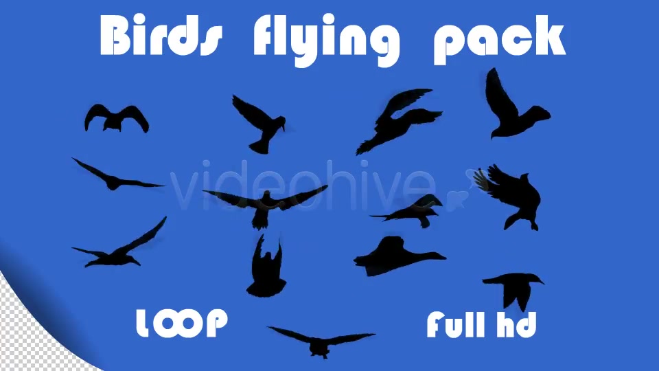 Birds Flying Pack - Download Videohive 2127868