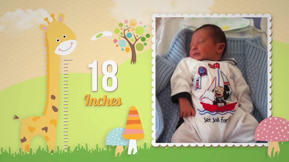 Birth Announcement Baby Birthday Album - Download Videohive 19307377