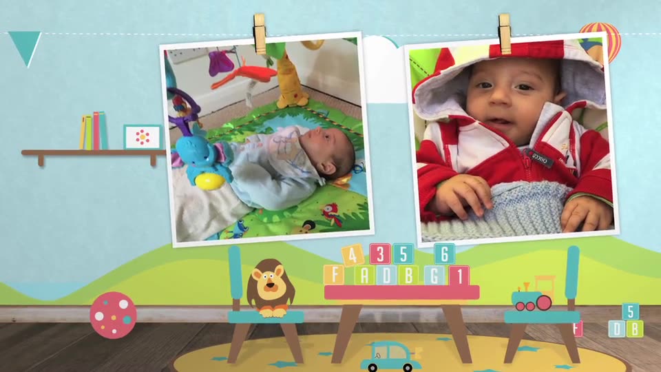 Baby Photo Album Birthday - Download Videohive 14648981