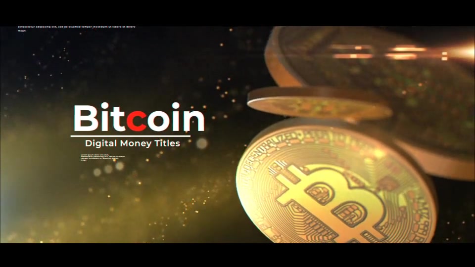 Bitcoin Digital Money Videohive 29545242 After Effects Image 11