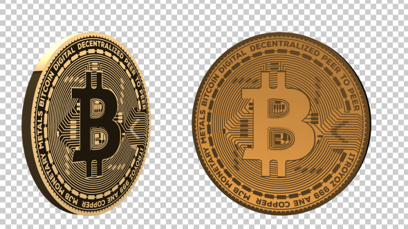 Bitcoin - Download Videohive 21288132