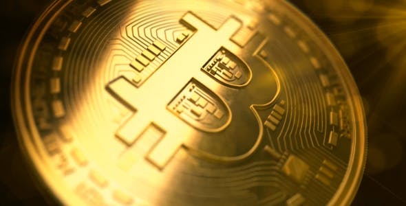Bitcoin Logo Pack - 21359981 Download Videohive