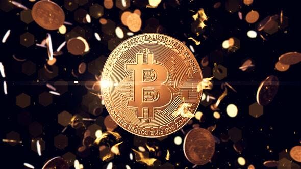 Bitcoin logo reveal - Download Videohive 25055399