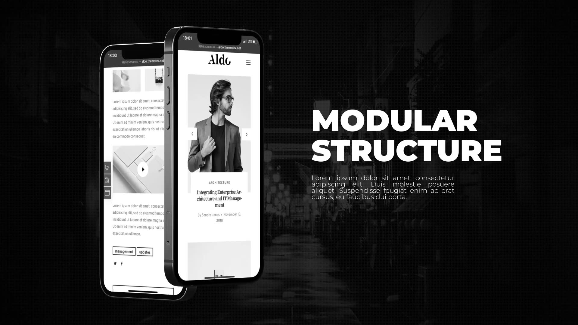 Black And White App Promo Videohive 33738322 After Effects Image 7