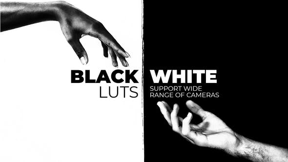 Black and White LUTs - Videohive Download 38399453