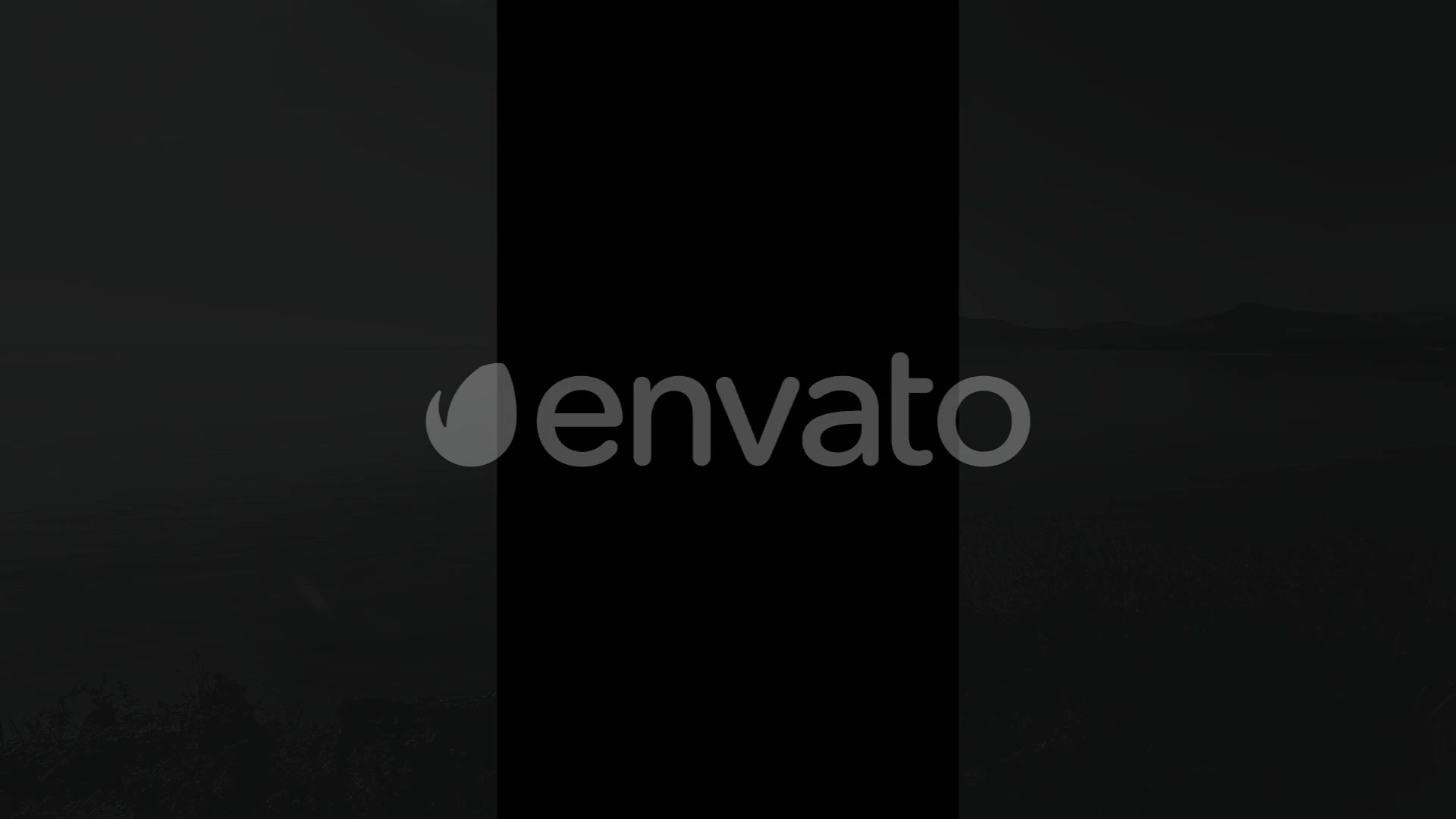 Black Friday Instagram Stories Videohive 29521107 Apple Motion Image 9