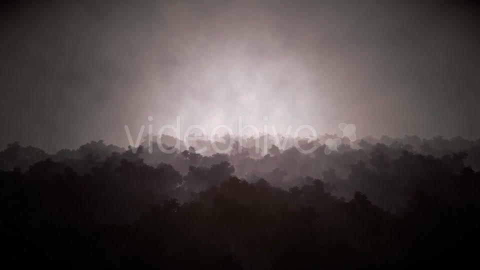 Black Horror Forest - Download Videohive 15918123