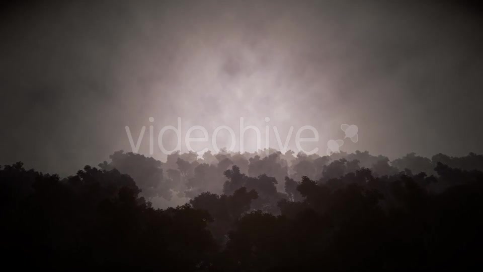 Black Horror Forest - Download Videohive 15918123