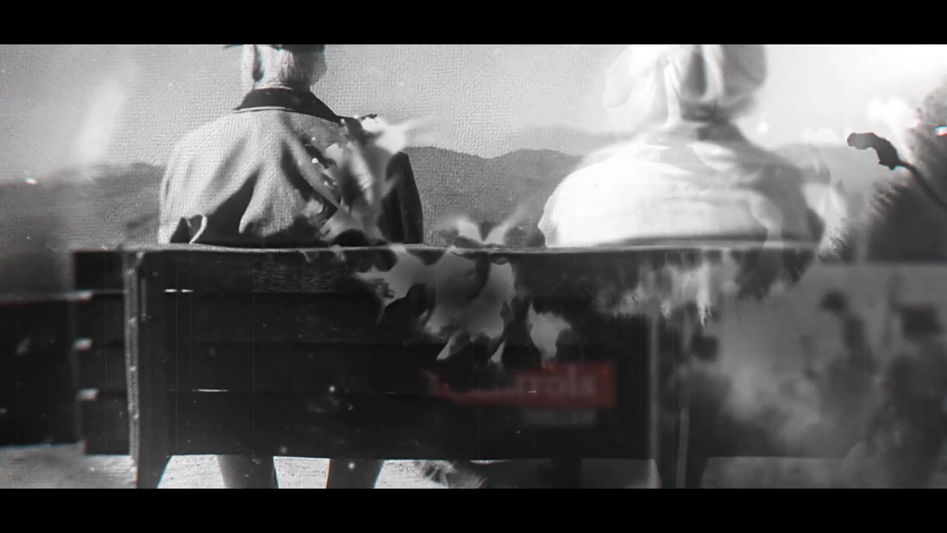 Black & White Slideshow Videohive 32864433 After Effects Image 9