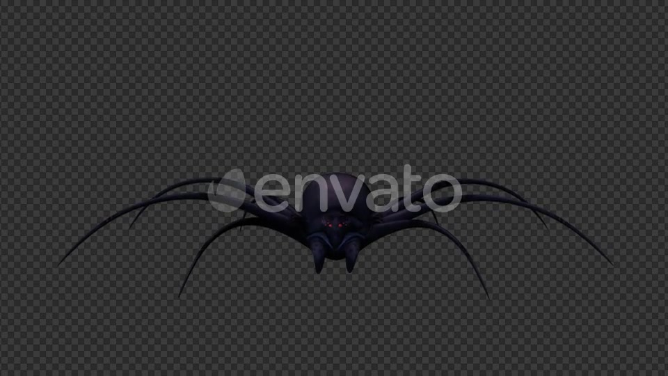 Black Widow - Download Videohive 21614667