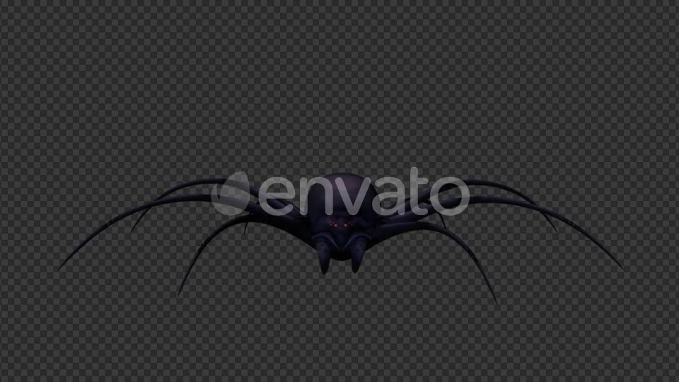 Black Widow - Download Videohive 21614667