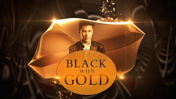 Black with Gold - Videohive Download 23144791
