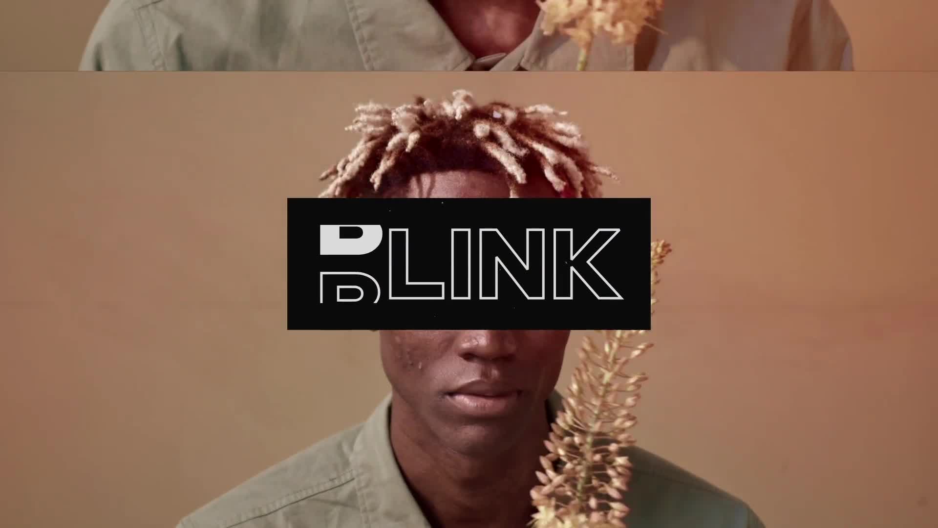 Blink Promo 2 in 1 Videohive 32356497 After Effects Image 1