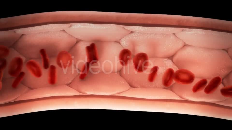 Blood Cells in Vessel with/without Molecules - Download Videohive 10717532