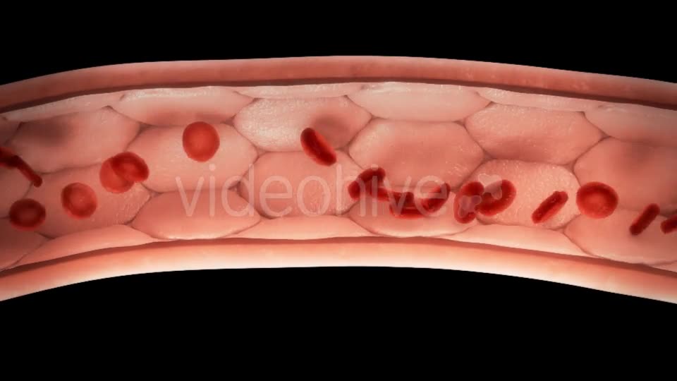 Blood Cells in Vessel with/without Molecules - Download Videohive 10717532