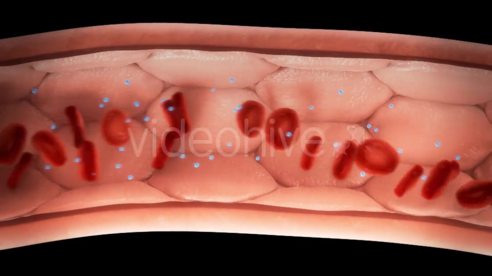 Blood Cells in Vessel with/without Molecules - Download Videohive 10717532