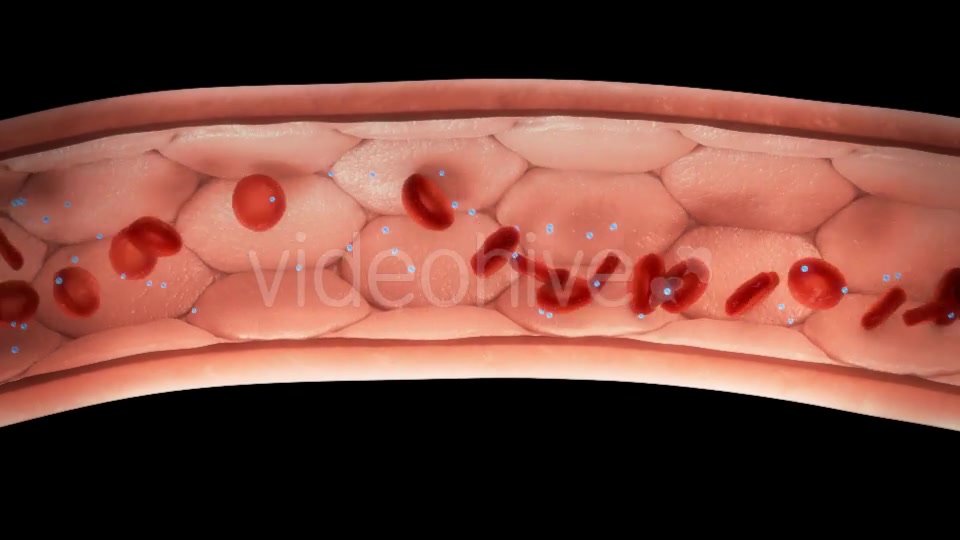 Blood Cells in Vessel with/without Molecules - Download Videohive 10717532