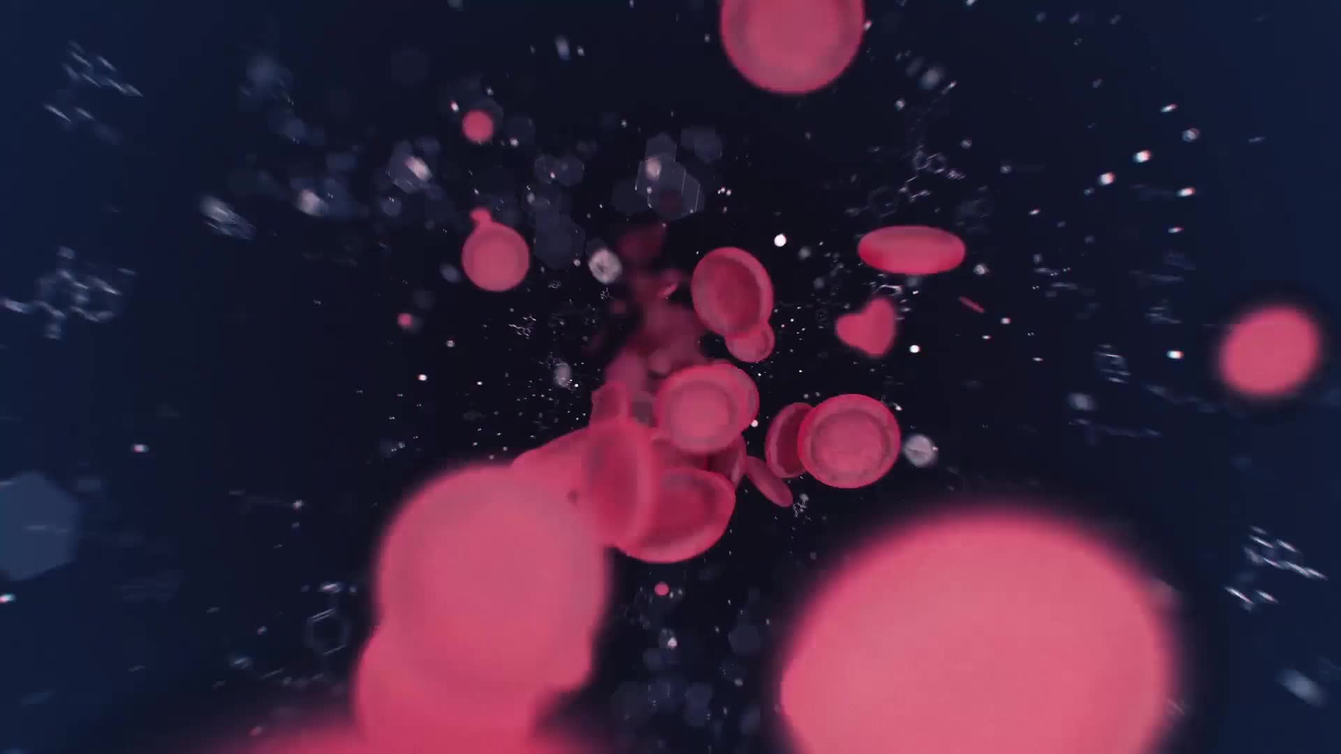 Blood Cells Videohive 24306177 After Effects Image 1